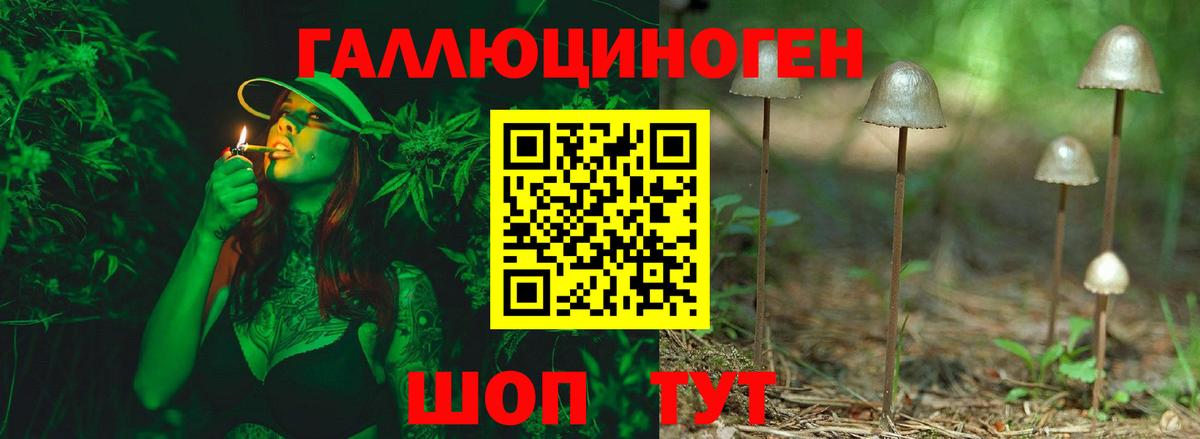 Вязники  Галлюциногенные грибы мицелий  Вход с VPN 